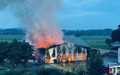 Sieben Pferde sterben bei Vollbrand eines Reitstalls in Melle