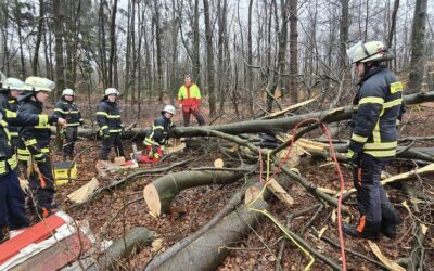 Motorsägenfortbildung der Feuerwehr Ankum mit den Niedersächsischen Landesforsten in Ankum