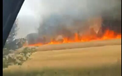 Großbrand in Bohmte-Herringhausen: Kreisfeuerwehr unterstützt bei langwierigen Nachlöscharbeiten