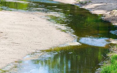 Allgemeinverfügung zur Einschränkung von Wasserentnahmen aus Oberflächengewässer und Grundwasser zur Beregnung und Bewässerung